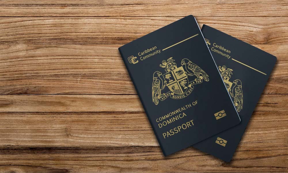 اخذ پاسپورت دومینیکو